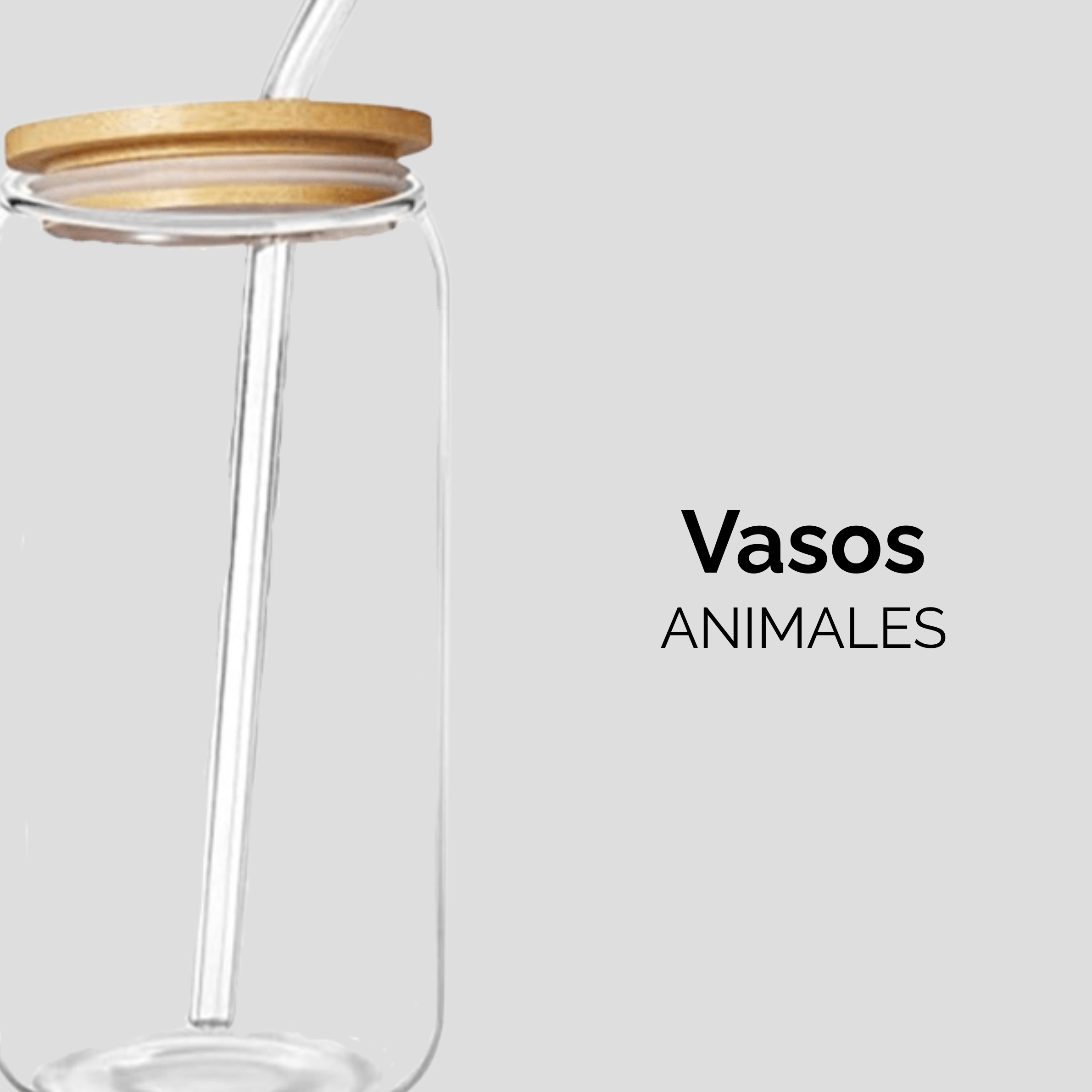 Vasos Animales